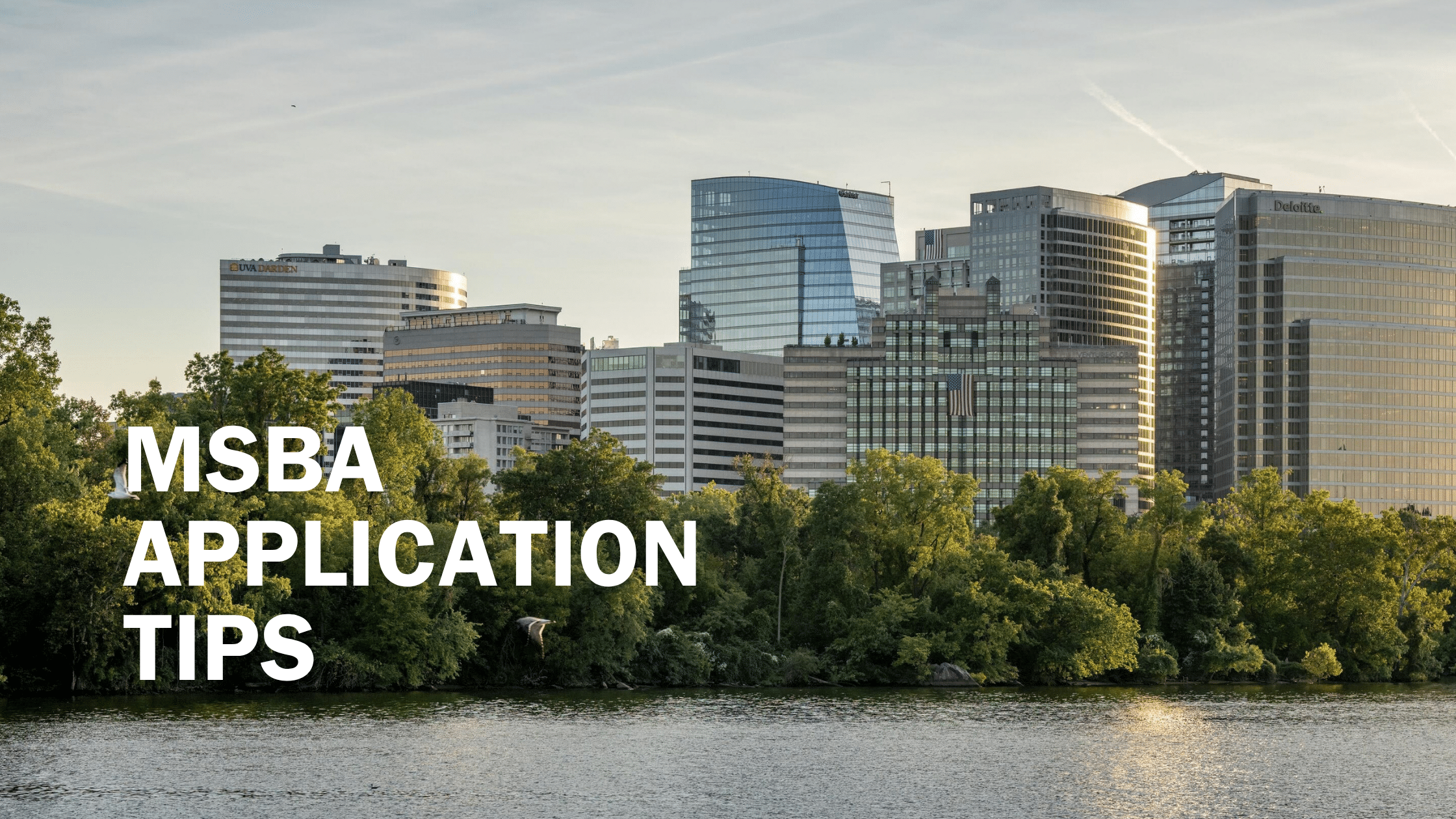 MSBA application tips